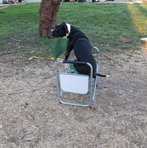 Meet your Posher, Matthew